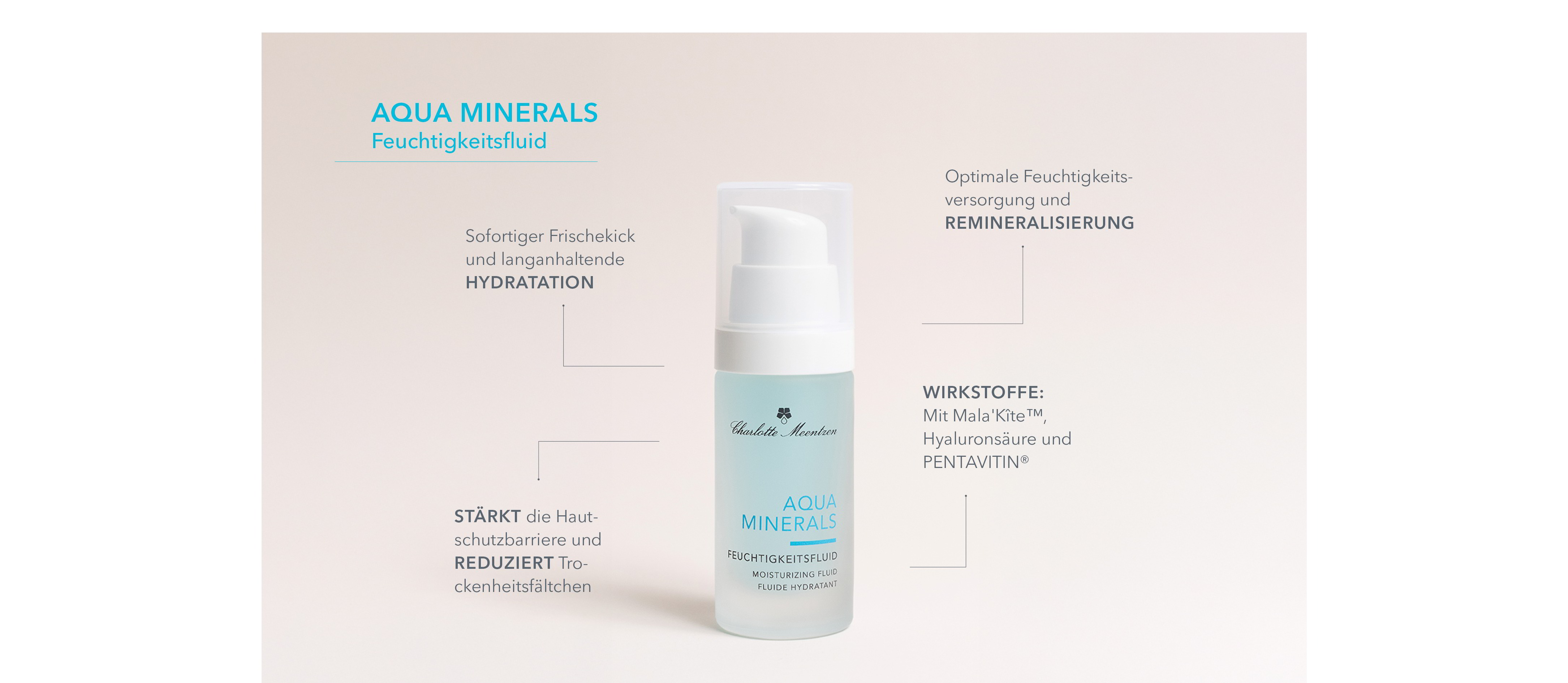 Aqua Minerals Feuchtigkeitsfluid