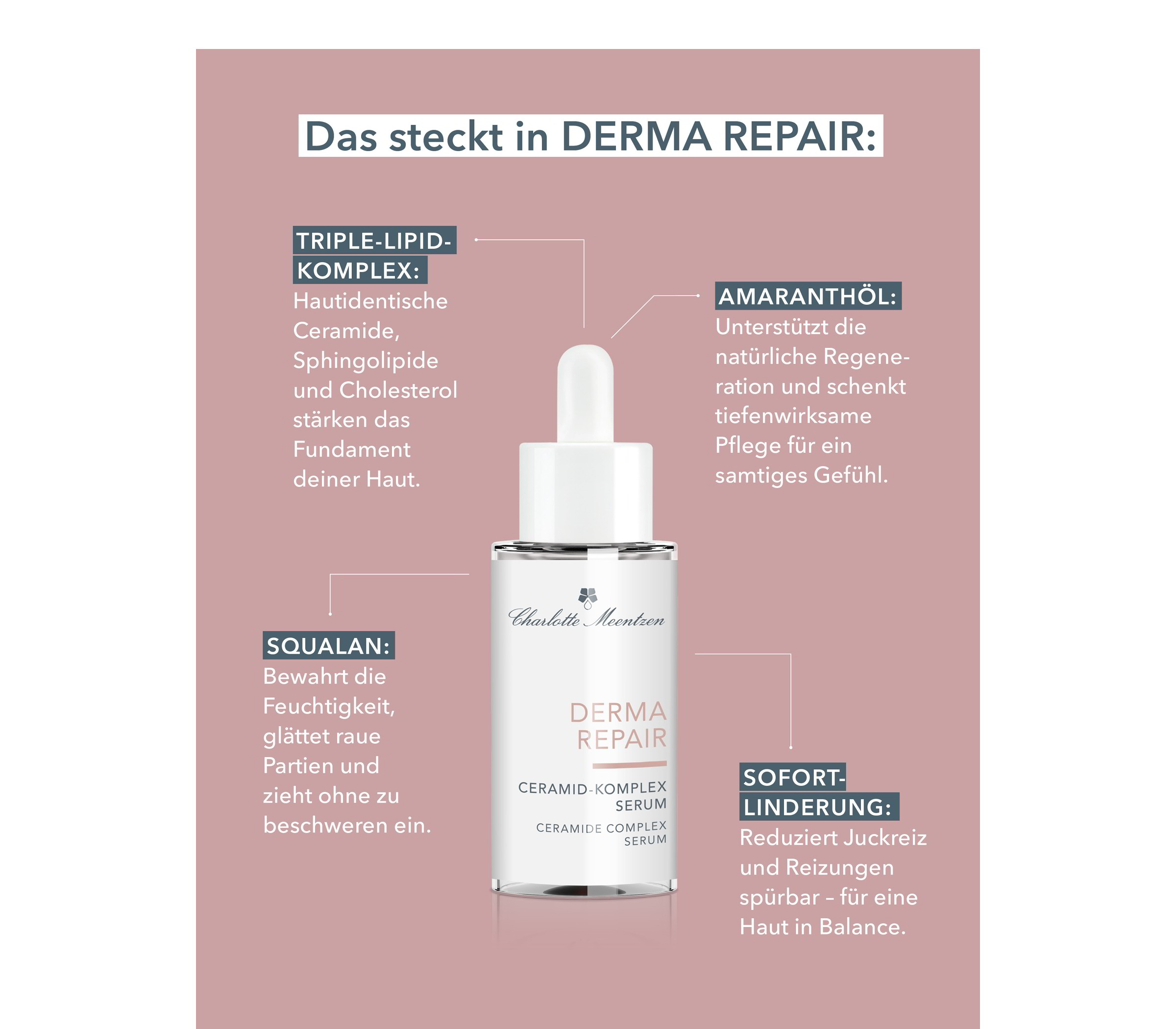392-charlotte-meentzen-derma-repair-ceramid-komplex-serum-30ml