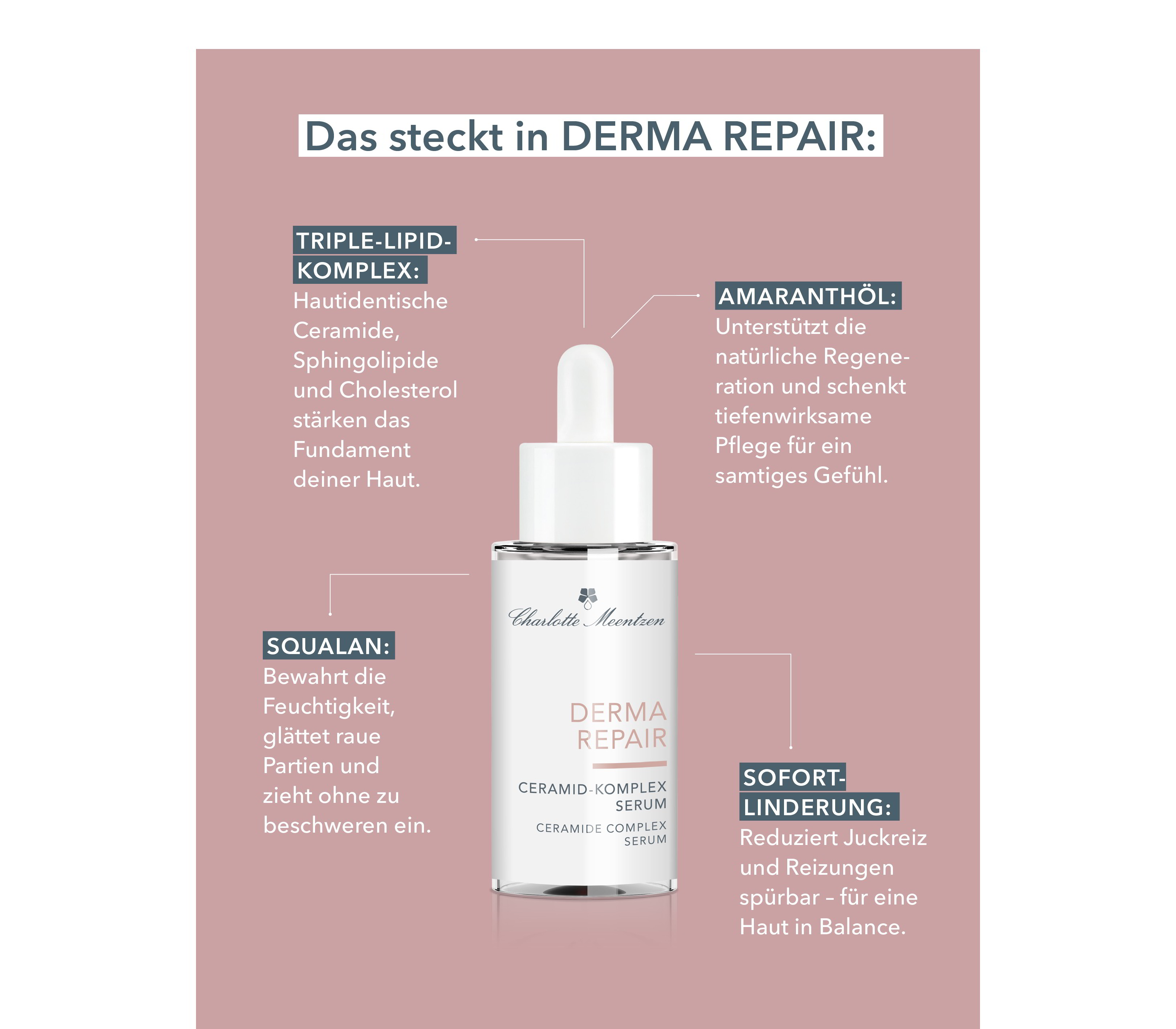 392-charlotte-meentzen-derma-repair-ceramid-komplex-serum-30ml