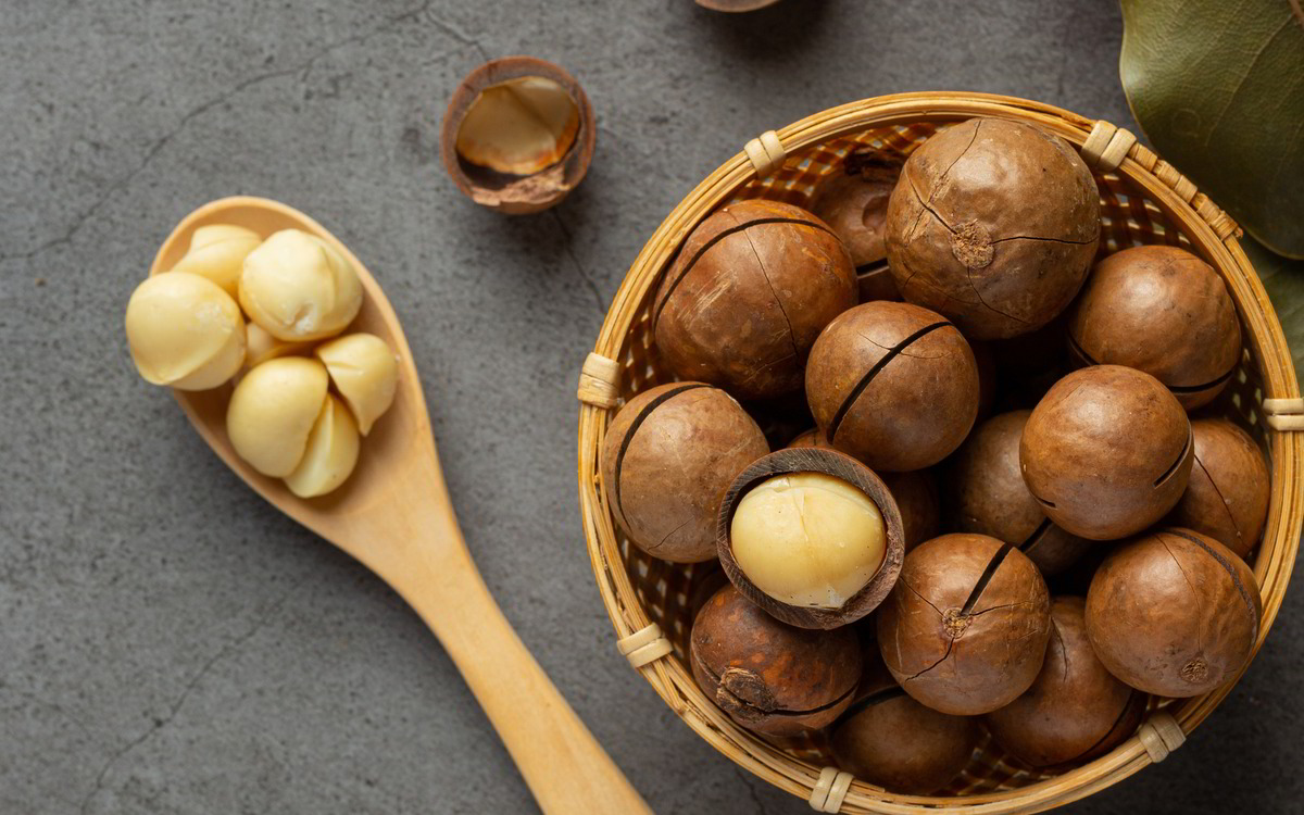 Schale und Löffel mit Macadamianüssen auf grauem Hintergrund