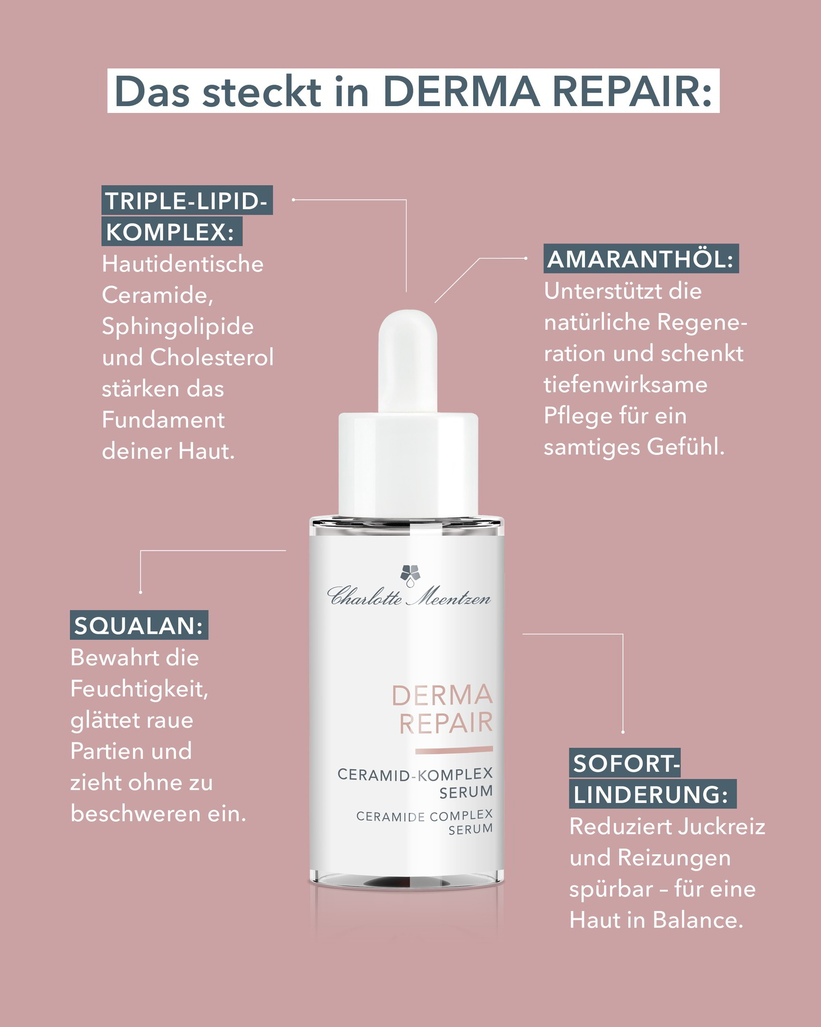 392-charlotte-meentzen-derma-repair-ceramid-komplex-serum-30ml