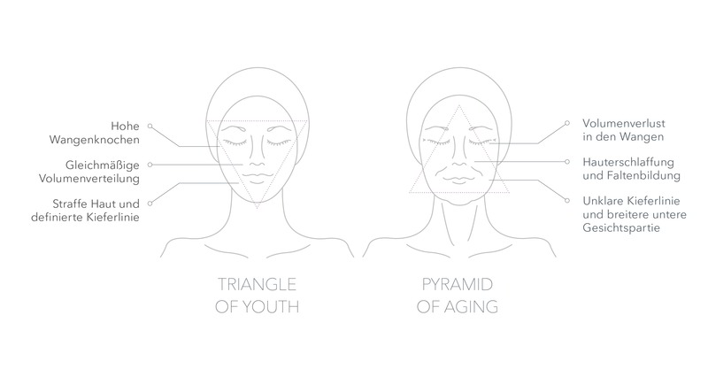 Triangle of Youth: Hohe Wangenknochen, Gleichmäßige Volumenverteilung, Straffe Haut, definierte Kieferlinie
Pyramid of Aging: Volumenverlust, Hauterschlaffung und Faltenbildung Unklare Kieferlinie